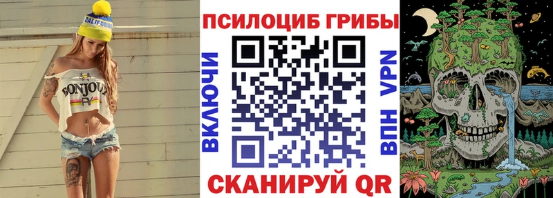 нарко площадка какой сайт  Грозный  Галлюциногенные грибы Magic Shrooms  как найти наркотики 