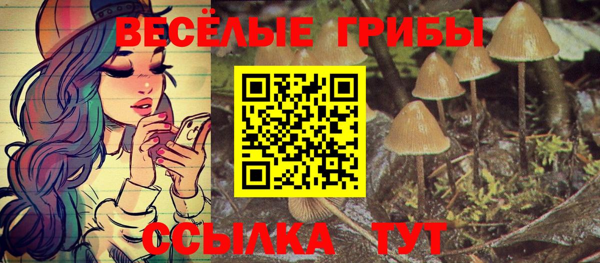 Псилоцибиновые грибы прущие грибы Грозный
