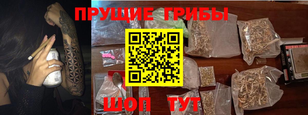Грозный  даркнет сайт  Вход с VPN  Псилоцибиновые грибы мицелий 
